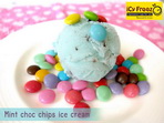 Mint choc chips ice cream